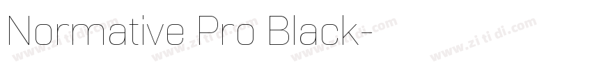 Normative Pro Black字体转换